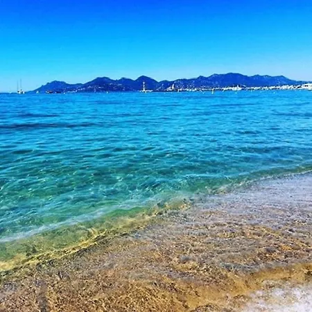 Beautiful And Cozy In The Heart Of Cannes